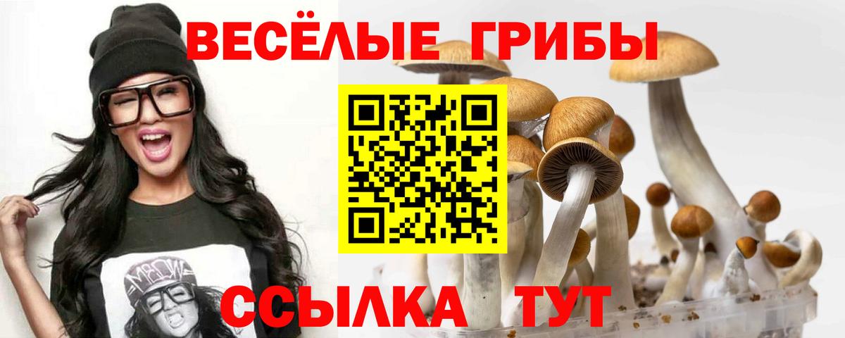 Псилоцибиновые грибы Psilocybine cubensis  Вход с VPN  Солнечногорск 